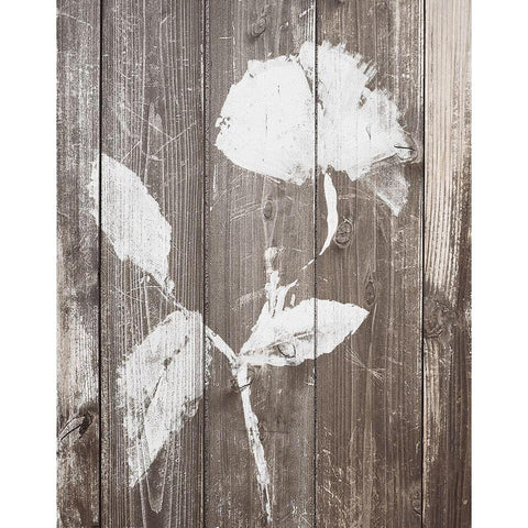 Brown Floral Whisper on Wood Background I Black Modern Wood Framed Art Print with Double Matting by Loreth, Lanie