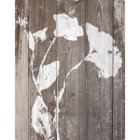 Brown Floral Whisper on Wood Background II Black Modern Wood Framed Art Print with Double Matting by Loreth, Lanie