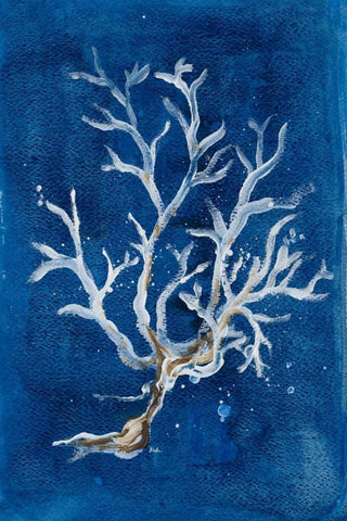 White Corals I Black Ornate Wood Framed Art Print with Double Matting by Pinto, Patricia