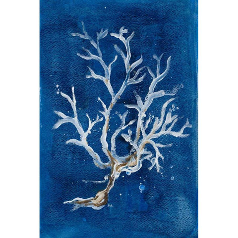 White Corals I Black Modern Wood Framed Art Print by Pinto, Patricia