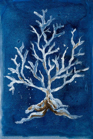 White Corals II Black Ornate Wood Framed Art Print with Double Matting by Pinto, Patricia