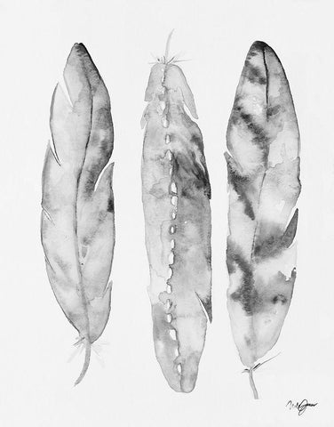 Three Feathers Black and White Black Ornate Wood Framed Art Print with Double Matting by James, Nola