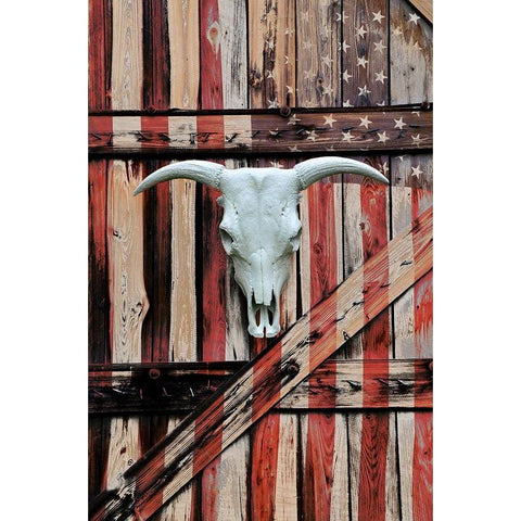 All American Black Modern Wood Framed Art Print with Double Matting by Peck, Gail