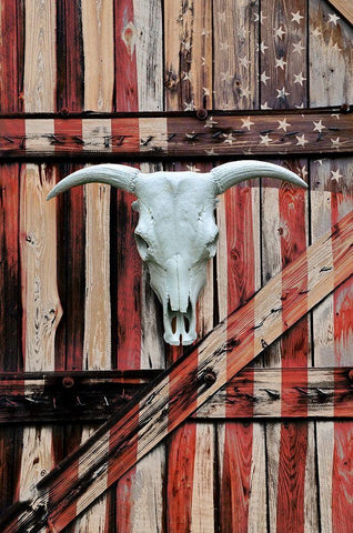 All American Black Ornate Wood Framed Art Print with Double Matting by Peck, Gail