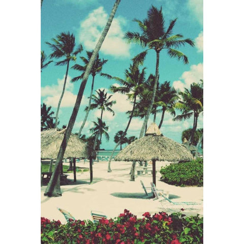 Tropical Oasis White Modern Wood Framed Art Print by Peck, Gail