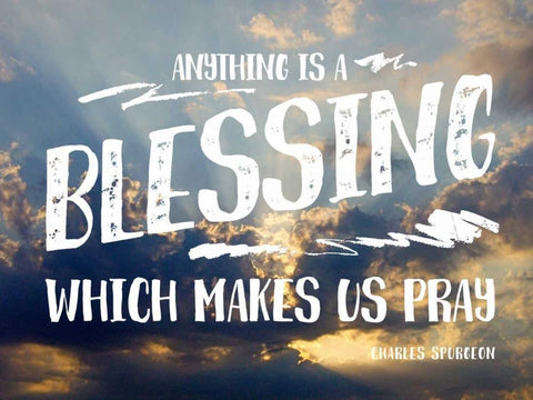 Anything Blessing White Modern Wood Framed Art Print with Double Matting by Peck, Gail