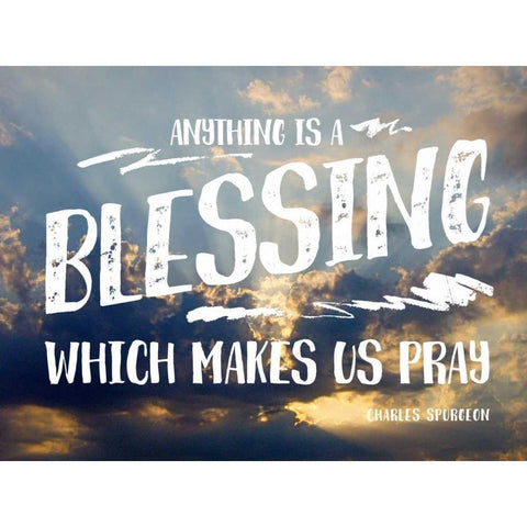 Anything Blessing Gold Ornate Wood Framed Art Print with Double Matting by Peck, Gail