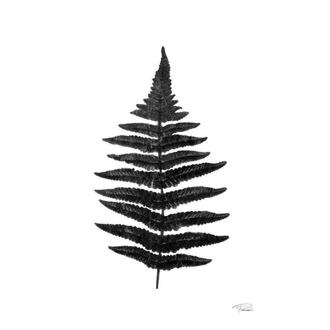 Black Pressed Fern Gold Ornate Wood Framed Art Print with Double Matting by Pattinian, Merri