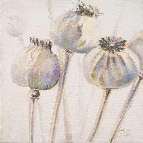 Poppy Seeds I White Modern Wood Framed Art Print with Double Matting by Pinto, Patricia