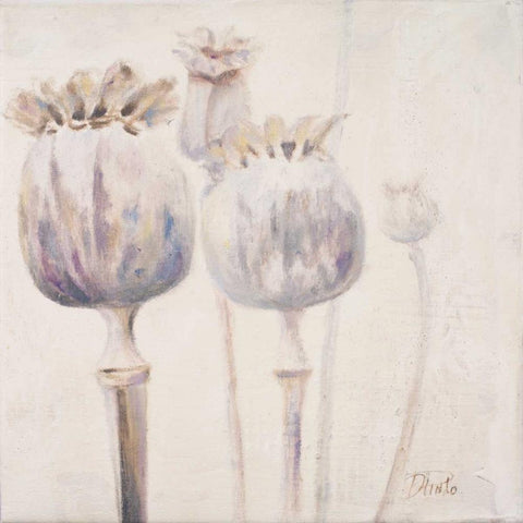 Poppy Seeds II White Modern Wood Framed Art Print by Pinto, Patricia