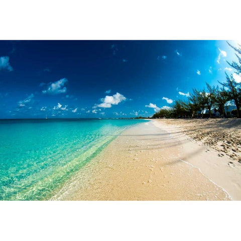 Cayman Islands Beach Black Modern Wood Framed Art Print with Double Matting by Bill Carson Photography