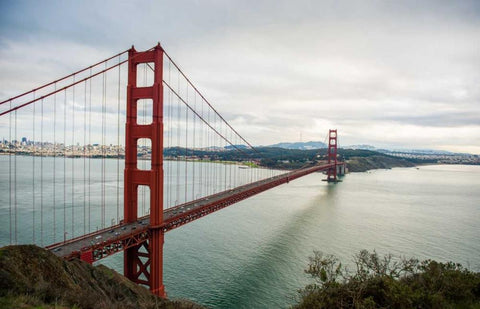 Golden Gate Black Ornate Wood Framed Art Print with Double Matting by Bill Carson Photography