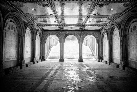 Bethesda Terrace Black Ornate Wood Framed Art Print with Double Matting by Bill Carson Photography