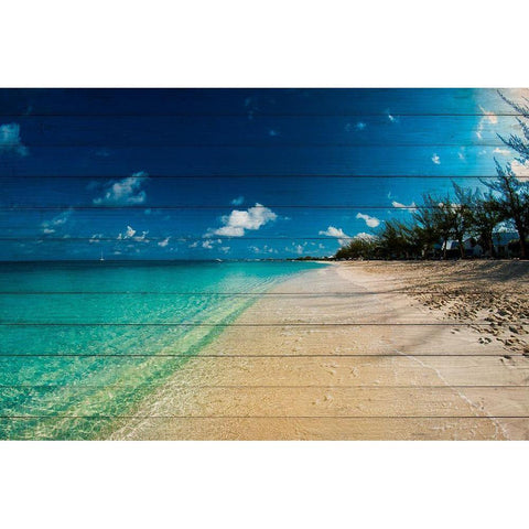 Cayman Islands Beach on Wood Black Modern Wood Framed Art Print with Double Matting by Bill Carson Photography