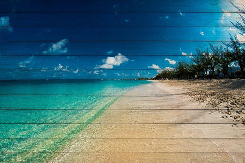 Cayman Islands Beach on Wood White Modern Wood Framed Art Print with Double Matting by Bill Carson Photography