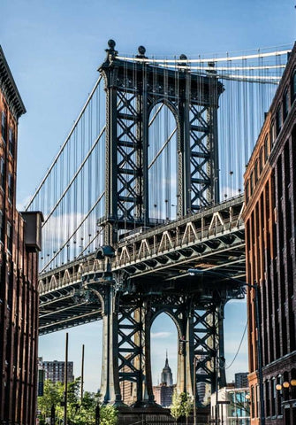 Manhattan Bridge Black Ornate Wood Framed Art Print with Double Matting by Bill Carson Photography