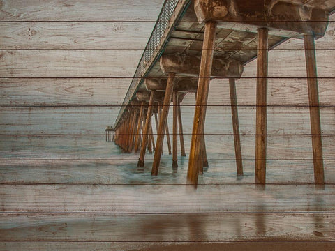 Pier on Wood I Black Ornate Wood Framed Art Print with Double Matting by Bill Carson Photography