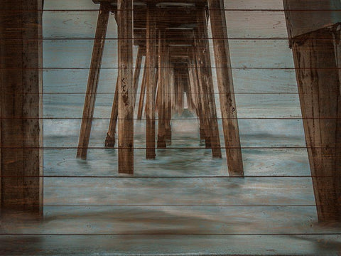 Pier on Wood II Black Ornate Wood Framed Art Print with Double Matting by Bill Carson Photography