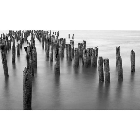 Hudson River Pilings White Modern Wood Framed Art Print by Bill Carson Photography