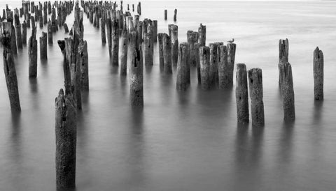 Hudson River Pilings Black Ornate Wood Framed Art Print with Double Matting by Bill Carson Photography