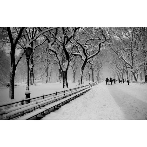 Central Park Snow Black Modern Wood Framed Art Print with Double Matting by Bill Carson Photography