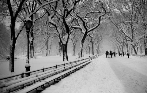 Central Park Snow White Modern Wood Framed Art Print with Double Matting by Bill Carson Photography