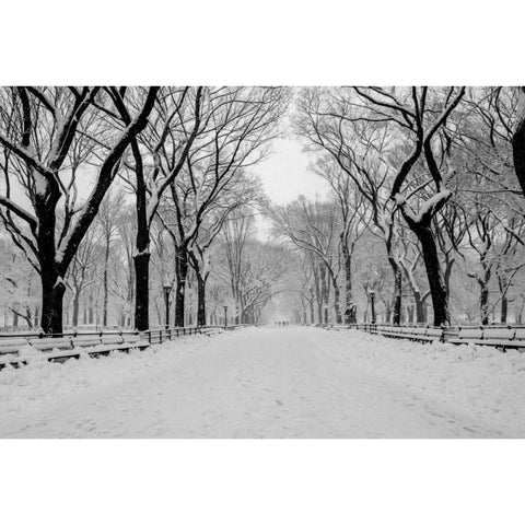 The Mall Washington DC Black Modern Wood Framed Art Print with Double Matting by Bill Carson Photography