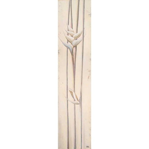 White Heliconias I Black Modern Wood Framed Art Print with Double Matting by Pinto, Patricia