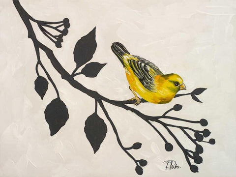 Yellow Bird On the Branch I Black Ornate Wood Framed Art Print with Double Matting by Pinto, Patricia