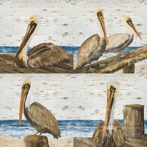 Pelican Pack Black Modern Wood Framed Art Print by DeRice, Julie