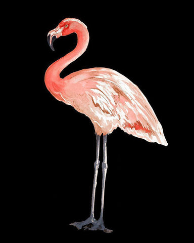 Flamingo on Black I Black Ornate Wood Framed Art Print with Double Matting by Pinto, Patricia