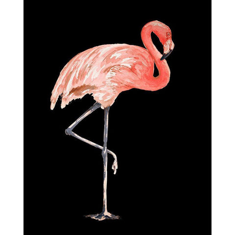 Flamingo on Black II Black Modern Wood Framed Art Print with Double Matting by Pinto, Patricia