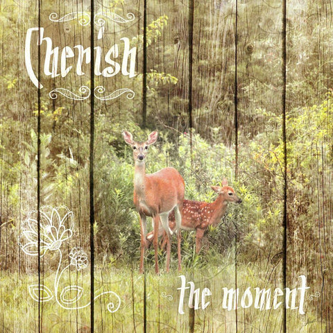 Cherish The Moment White Modern Wood Framed Art Print with Double Matting by Metz, Andi
