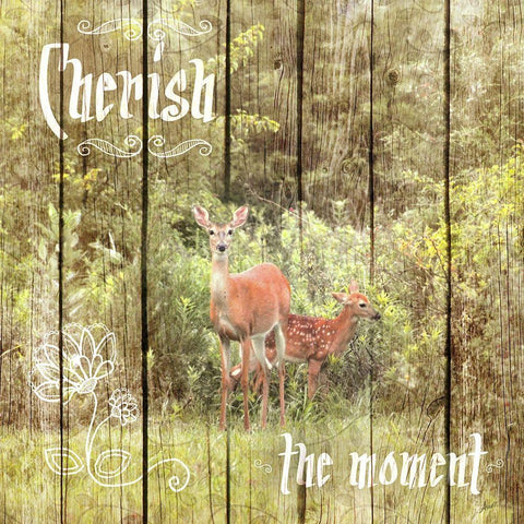 Cherish The Moment White Modern Wood Framed Art Print by Metz, Andi