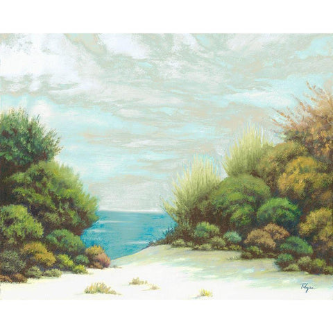 Seashore II Black Modern Wood Framed Art Print by Rhyan, Vivien