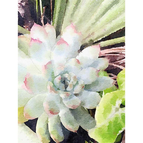 Watercolor Green Succulent White Modern Wood Framed Art Print by James, Nola