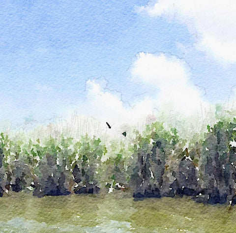 Watercolor Black Hammock Lake White Modern Wood Framed Art Print with Double Matting by James, Nola