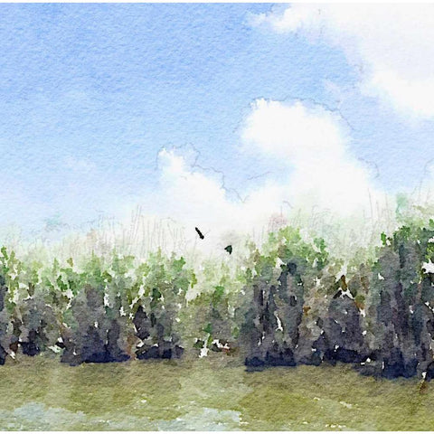 Watercolor Black Hammock Lake Black Modern Wood Framed Art Print by James, Nola