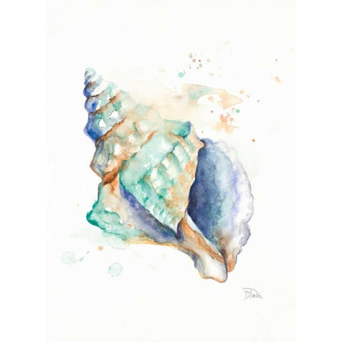 Blue Shell Black Modern Wood Framed Art Print by Pinto, Patricia