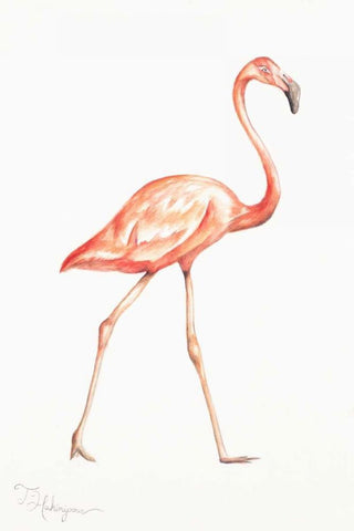 Flamingo Duo I Black Ornate Wood Framed Art Print with Double Matting by Hakimipour, Tiffany
