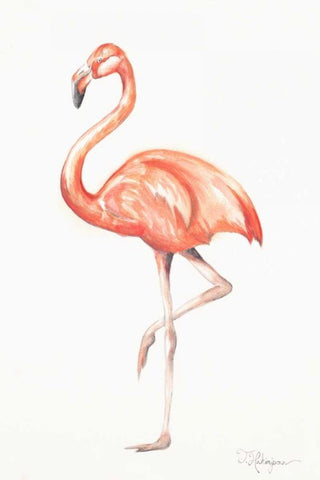 Flamingo Duo II Black Ornate Wood Framed Art Print with Double Matting by Hakimipour, Tiffany