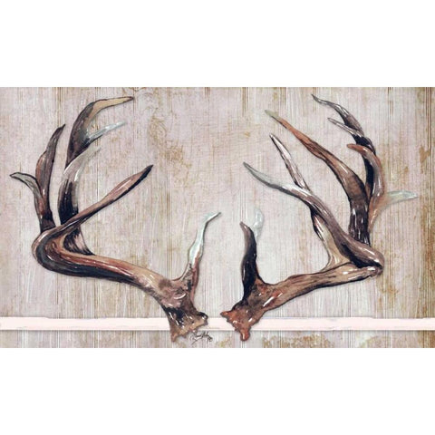 Trophy Antlers Black Modern Wood Framed Art Print with Double Matting by Medley, Elizabeth