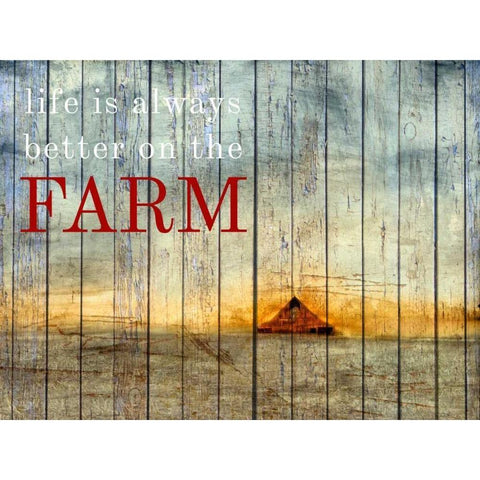 On the Farm I Black Modern Wood Framed Art Print by Mabat, Ynon