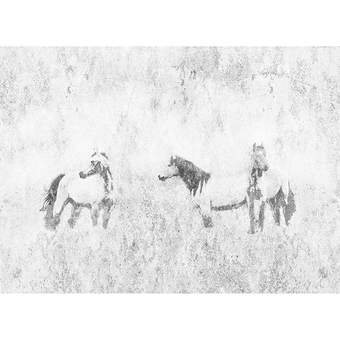 Horses In The Mist Black Modern Wood Framed Art Print with Double Matting by Mabat, Ynon