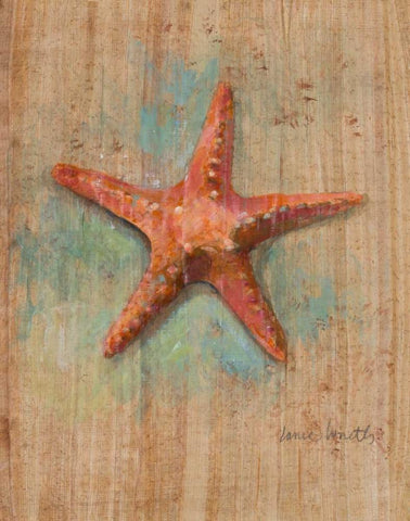 Starfish II White Modern Wood Framed Art Print with Double Matting by Loreth, Lanie