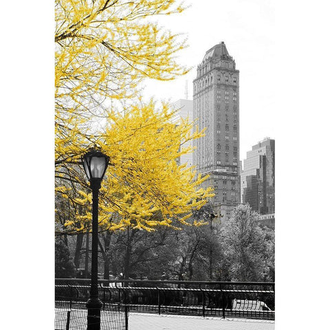 Central Park with Yellow Tree White Modern Wood Framed Art Print by Navas, Emily