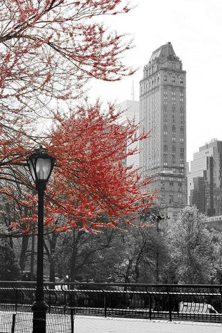 Central Park with Red Tree White Modern Wood Framed Art Print with Double Matting by Navas, Emily