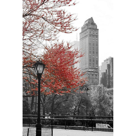 Central Park with Red Tree Black Modern Wood Framed Art Print by Navas, Emily