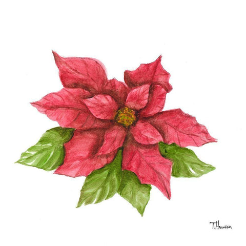 Poinsettia I Black Modern Wood Framed Art Print by Hakimipour, Tiffany