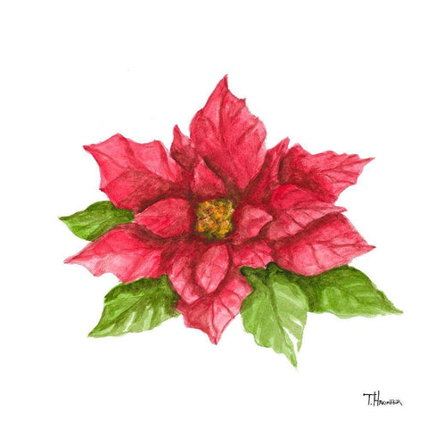 Poinsettia II White Modern Wood Framed Art Print with Double Matting by Hakimipour, Tiffany